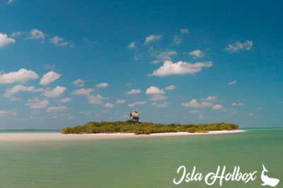 Passion Island, Holbox Attractions