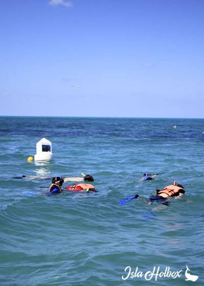 Snorkel Tour in Holbox Island