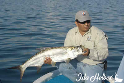 Fly Fishing Holbox Tour