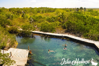 Cenote Yalahau, Atractivos en Holbox