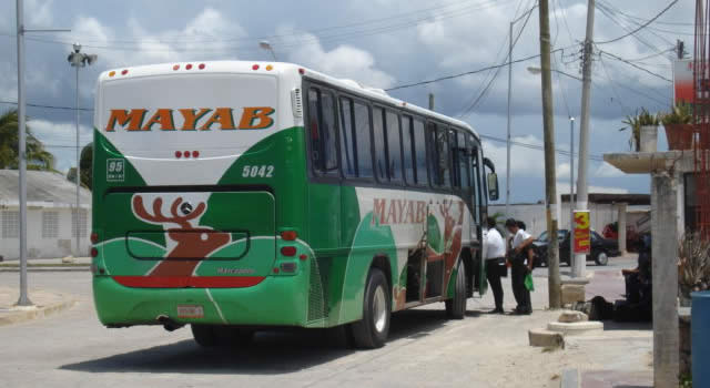 Autobuses a Chiquilá, Autobuses de Cancún a Chiquila