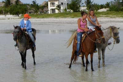 Horseback Riding Tour, Tours and Activities in Holbox Island