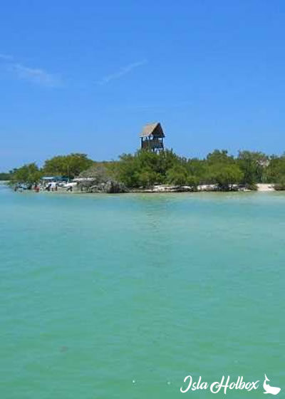 Holbox Tour by The 3 Islands, Holbox Tours, Excursions & Activities