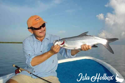 Fly Fishing Holbox Tour