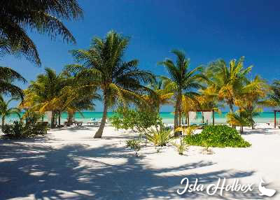 Tour to Holbox Island by Land